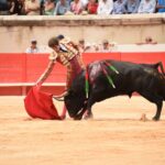 Nimes, sábado 14 de septiembre de 2019. Novillada matinal