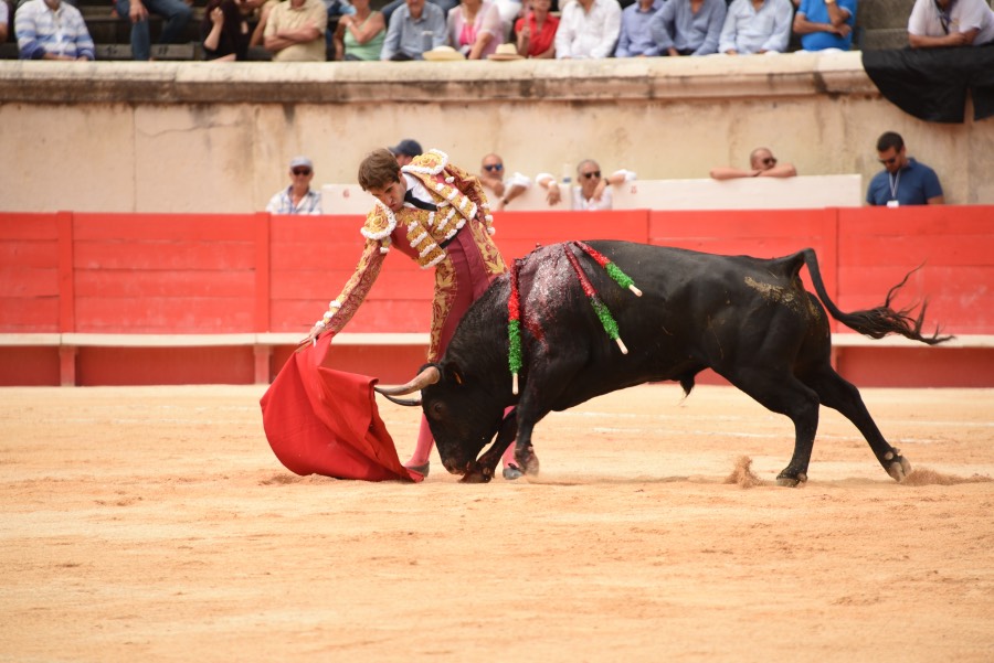 Nimes, sábado 14 de septiembre de 2019. Novillada matinal