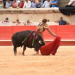 Nimes, sábado 14 de septiembre de 2019. Novillada matinal