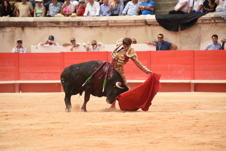 Nimes, sábado 14 de septiembre de 2019. Novillada matinal