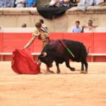 Nimes, sábado 14 de septiembre de 2019. Novillada matinal