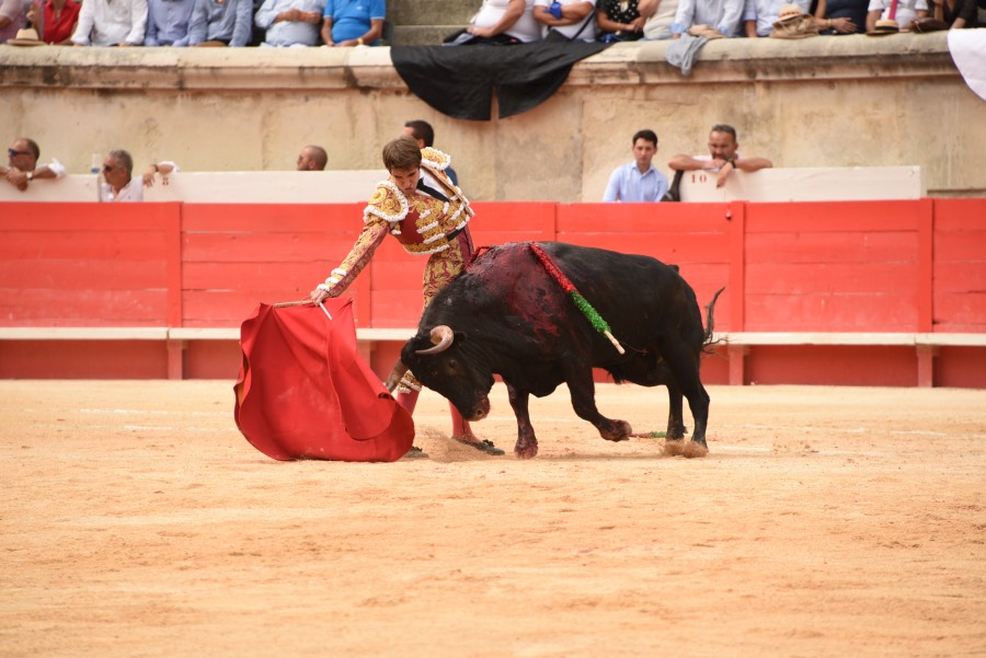 Nimes, sábado 14 de septiembre de 2019. Novillada matinal