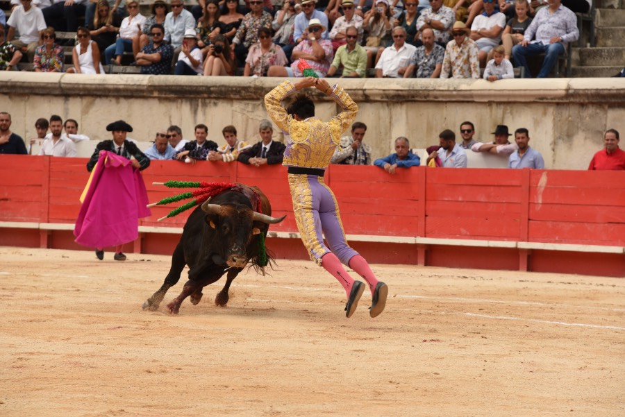 Nimes, sábado 14 de septiembre de 2019. Novillada matinal