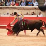 Nimes, sábado 14 de septiembre de 2019. Novillada matinal