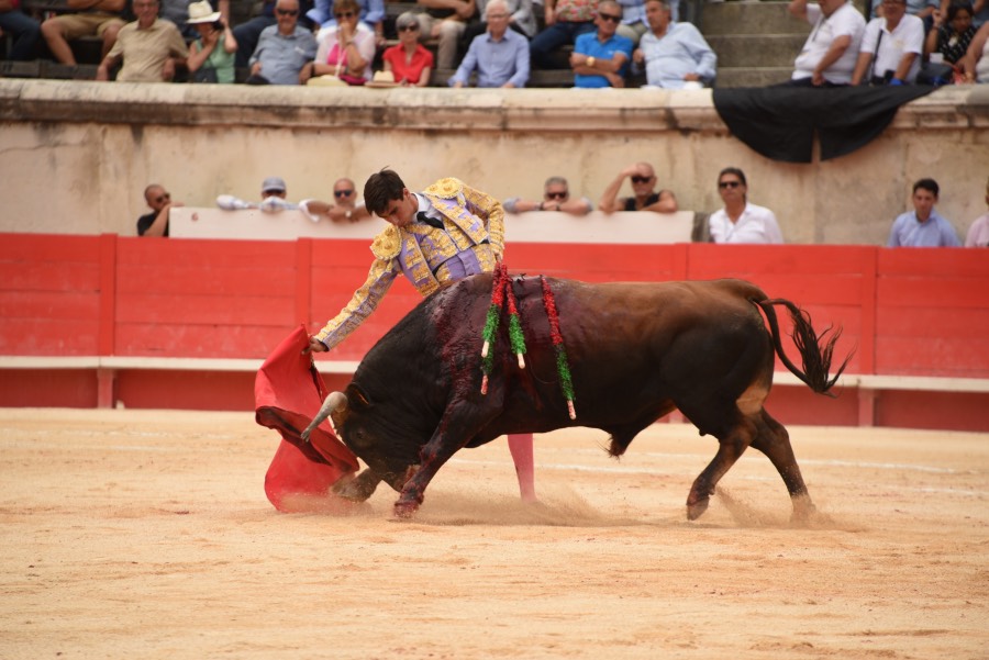 Nimes, sábado 14 de septiembre de 2019. Novillada matinal
