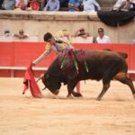 Nimes, sábado 14 de septiembre de 2019. Novillada matinal