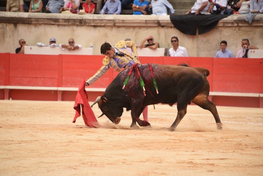 Nimes, sábado 14 de septiembre de 2019. Novillada matinal