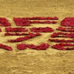 Lisboa, viernes 27 de septiembre de 2019