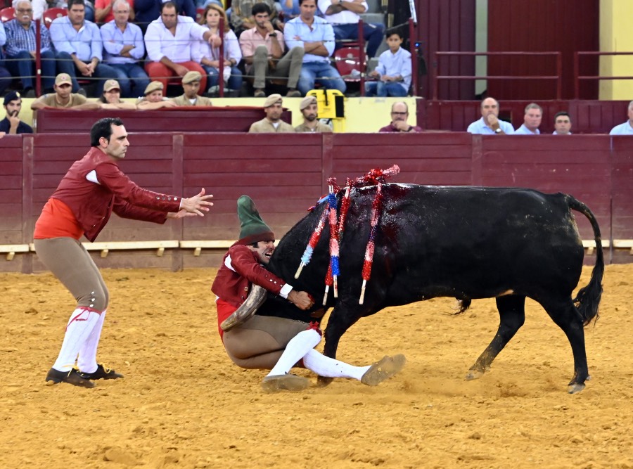 Lisboa, viernes 27 de septiembre de 2019