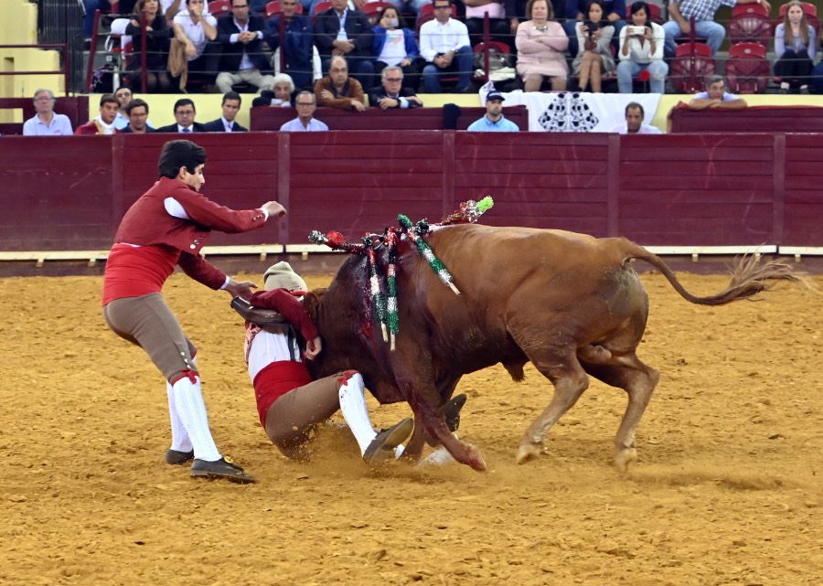 Lisboa, viernes 27 de septiembre de 2019