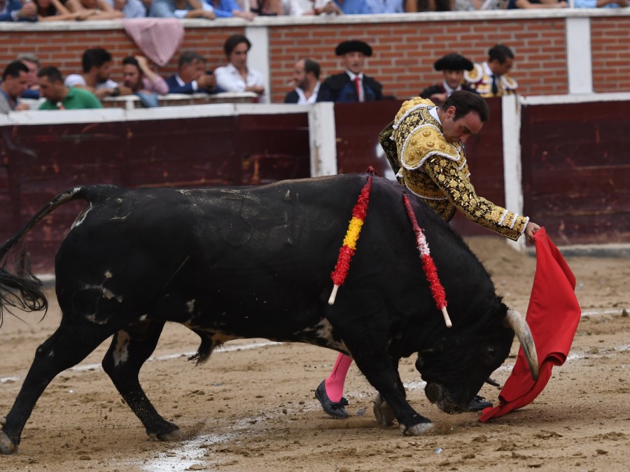 San Sebastián de los Reyes, domingo 1 de septiembre de 2019