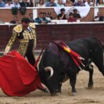 San Sebastián de los Reyes, domingo 1 de septiembre de 2019