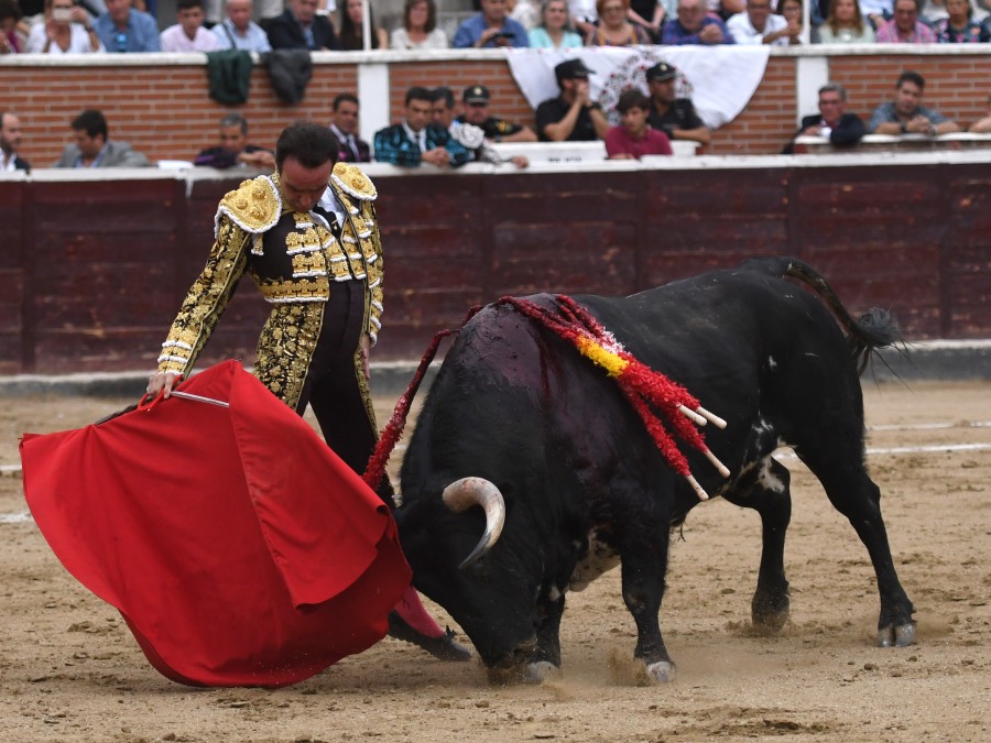 San Sebastián de los Reyes, domingo 1 de septiembre de 2019