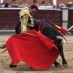 San Sebastián de los Reyes, domingo 1 de septiembre de 2019