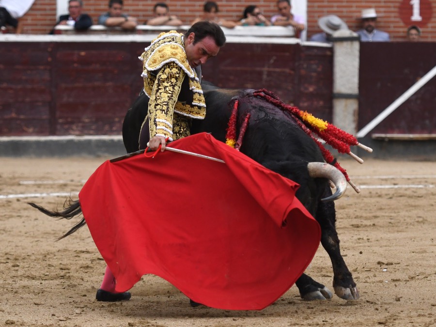 San Sebastián de los Reyes, domingo 1 de septiembre de 2019