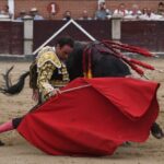 San Sebastián de los Reyes, domingo 1 de septiembre de 2019