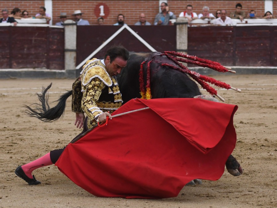 San Sebastián de los Reyes, domingo 1 de septiembre de 2019