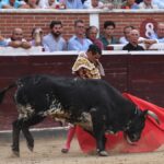 San Sebastián de los Reyes, domingo 1 de septiembre de 2019