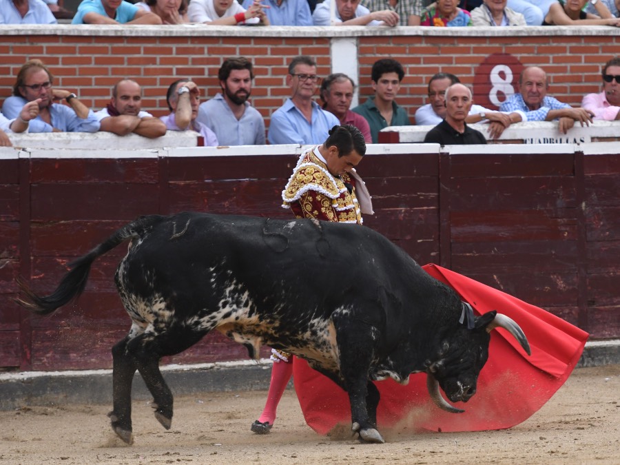 San Sebastián de los Reyes, domingo 1 de septiembre de 2019
