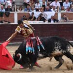 San Sebastián de los Reyes, domingo 1 de septiembre de 2019