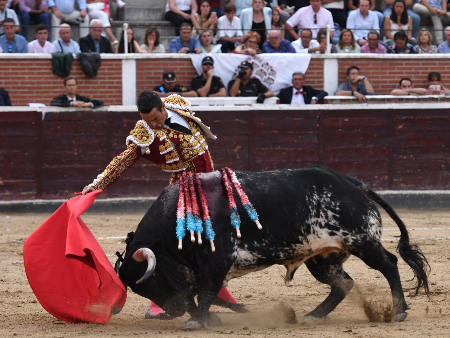 San Sebastián de los Reyes, domingo 1 de septiembre de 2019