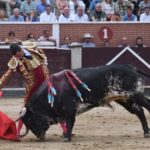 San Sebastián de los Reyes, domingo 1 de septiembre de 2019