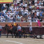 San Sebastián de los Reyes, domingo 1 de septiembre de 2019