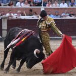 San Sebastián de los Reyes, domingo 1 de septiembre de 2019
