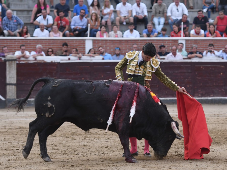 San Sebastián de los Reyes, domingo 1 de septiembre de 2019