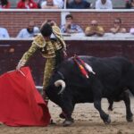 San Sebastián de los Reyes, domingo 1 de septiembre de 2019