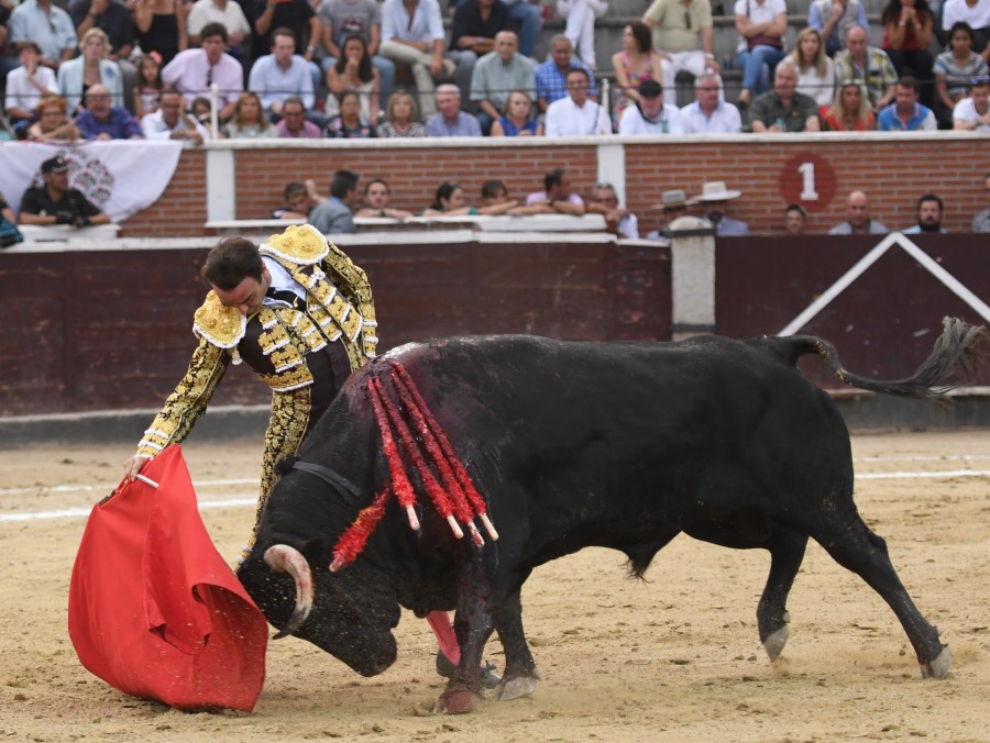 San Sebastián de los Reyes, domingo 1 de septiembre de 2019