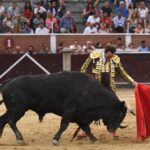 San Sebastián de los Reyes, domingo 1 de septiembre de 2019