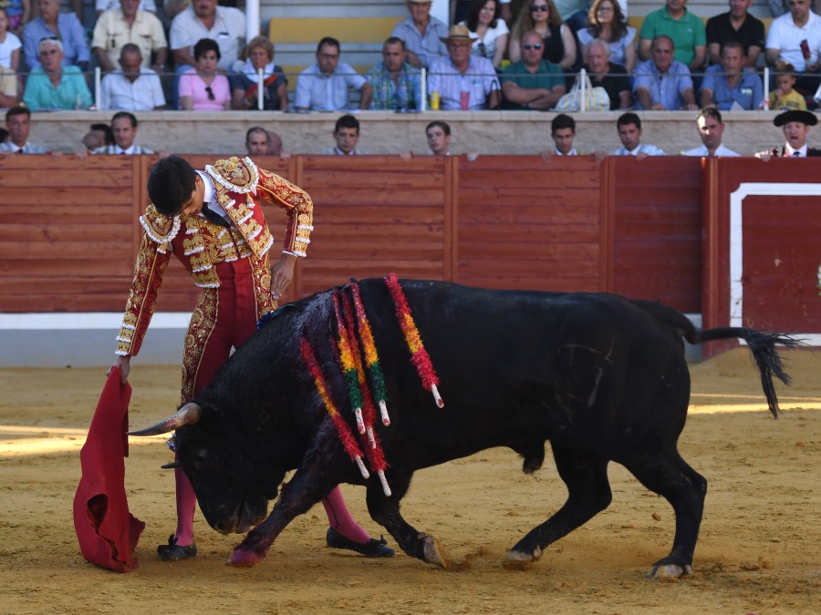 Villaseca de la Sagra, viernes 6 de septiembre de 2019