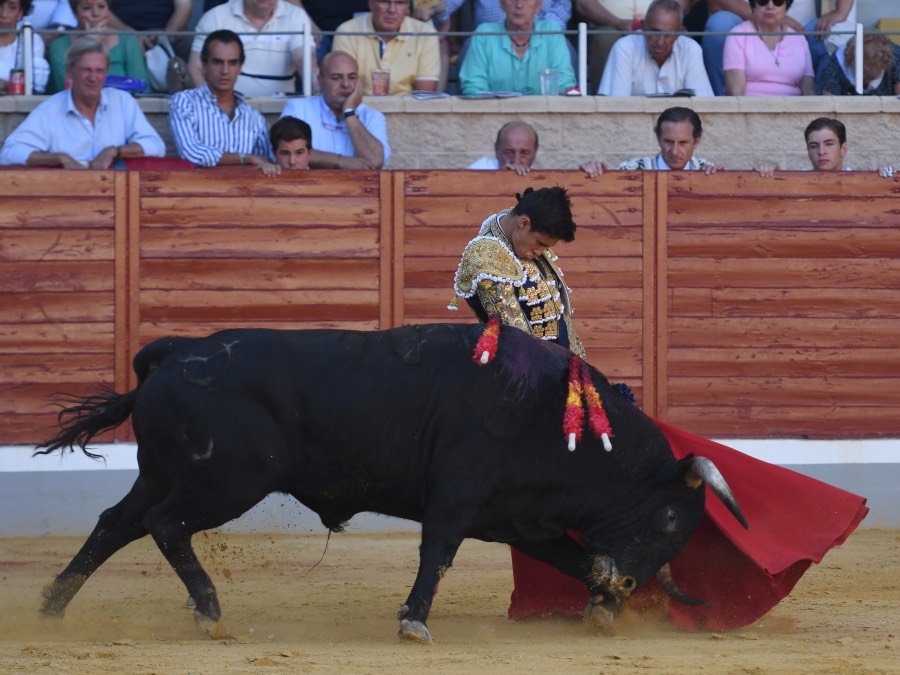 Villaseca de la Sagra, viernes 6 de septiembre de 2019
