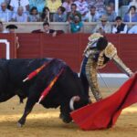 Villaseca de la Sagra, viernes 6 de septiembre de 2019