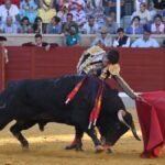 Villaseca de la Sagra, viernes 6 de septiembre de 2019