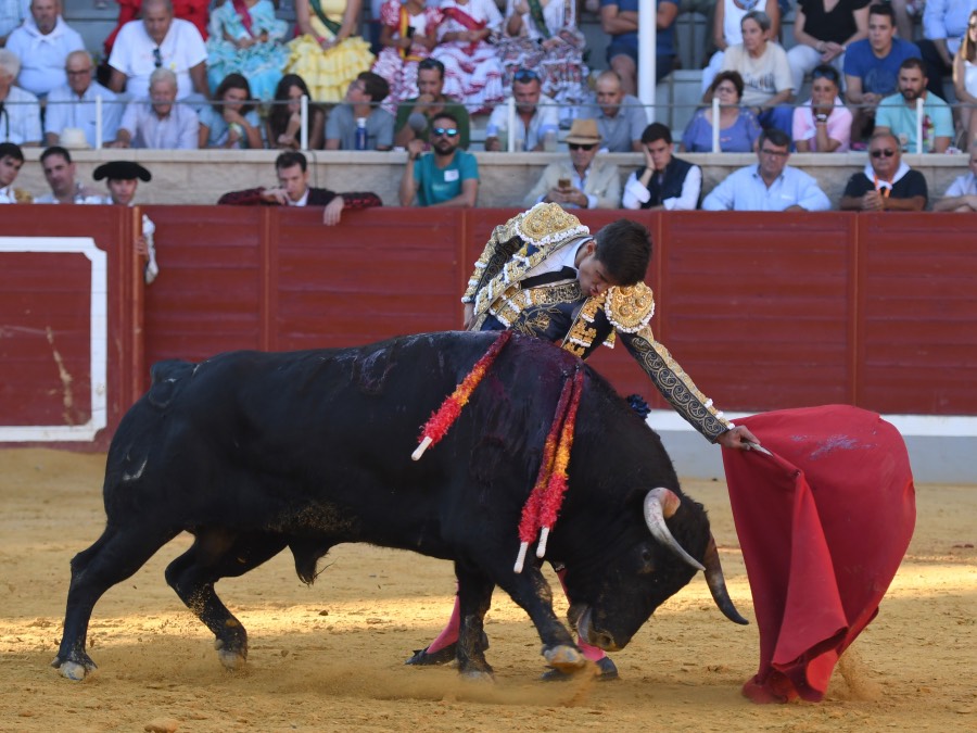 Villaseca de la Sagra, viernes 6 de septiembre de 2019