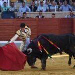 Villaseca de la Sagra (Toledo), sábado 7 de septiembre de 2019.