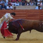 Villaseca de la Sagra (Toledo), sábado 7 de septiembre de 2019.