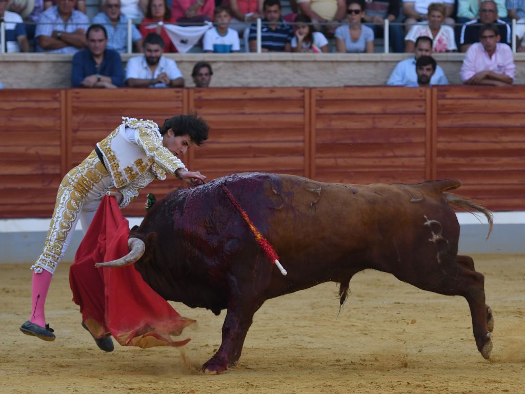 Villaseca de la Sagra (Toledo), sábado 7 de septiembre de 2019.