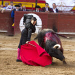 Utiel, sábado 14 de septiembre de 2019