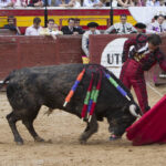 Utiel, sábado 14 de septiembre de 2019