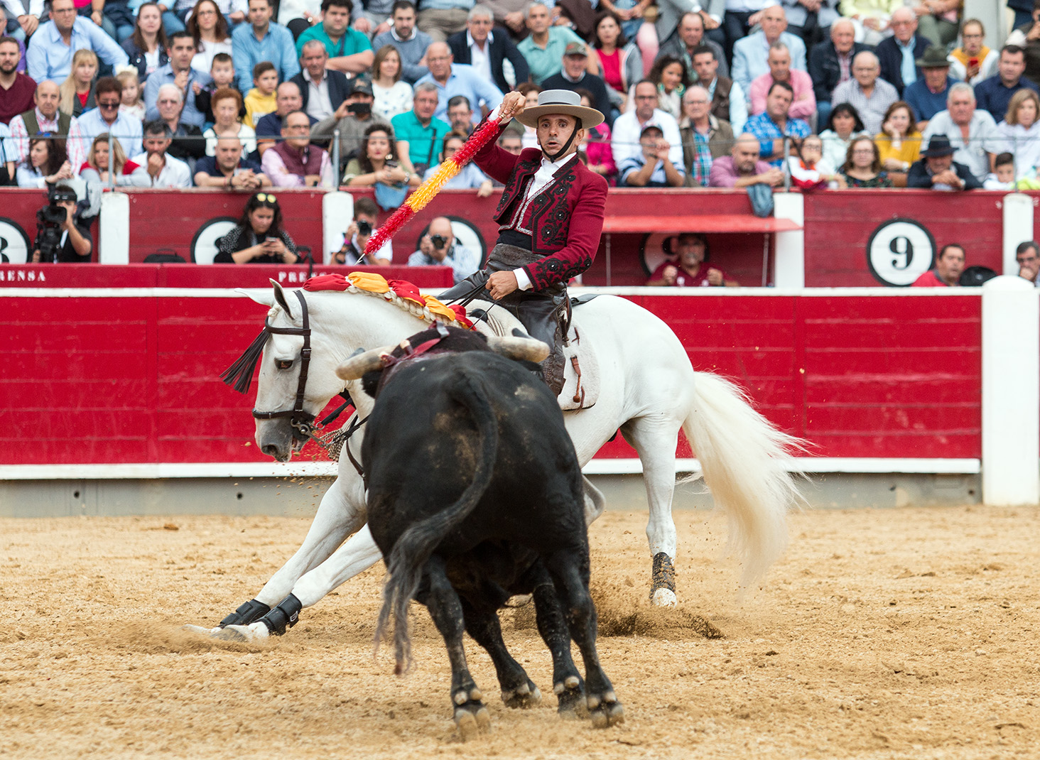 Albacete, sábado 14 de septiembre de 2019
