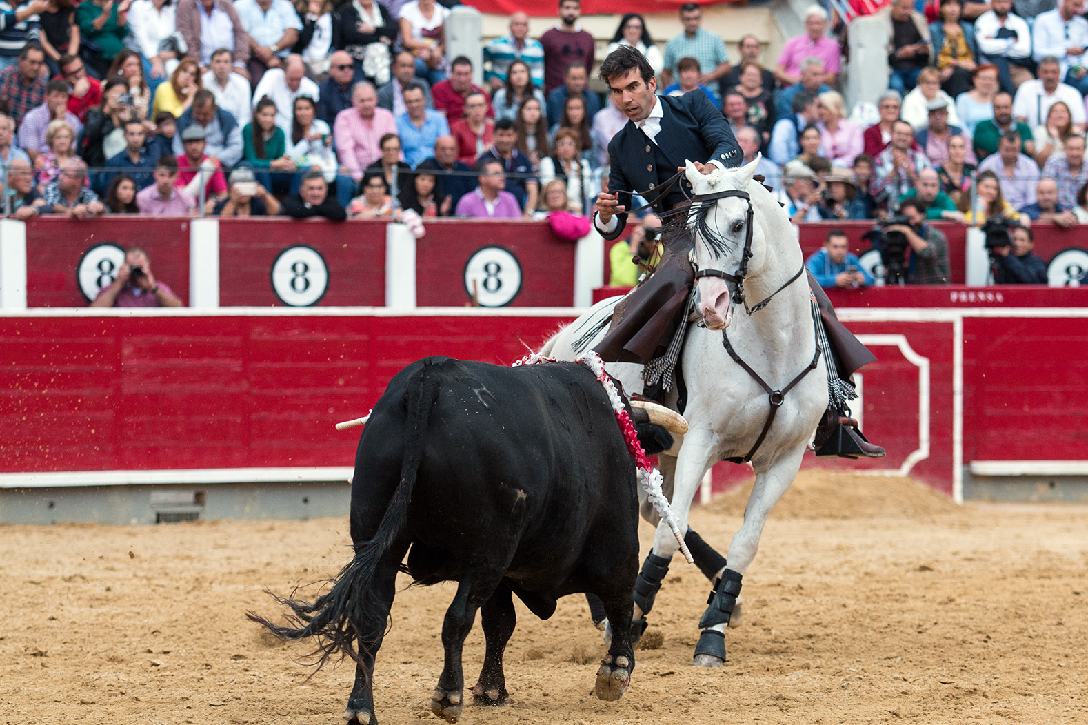 Albacete, sábado 14 de septiembre de 2019