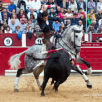 Albacete, sábado 14 de septiembre de 2019