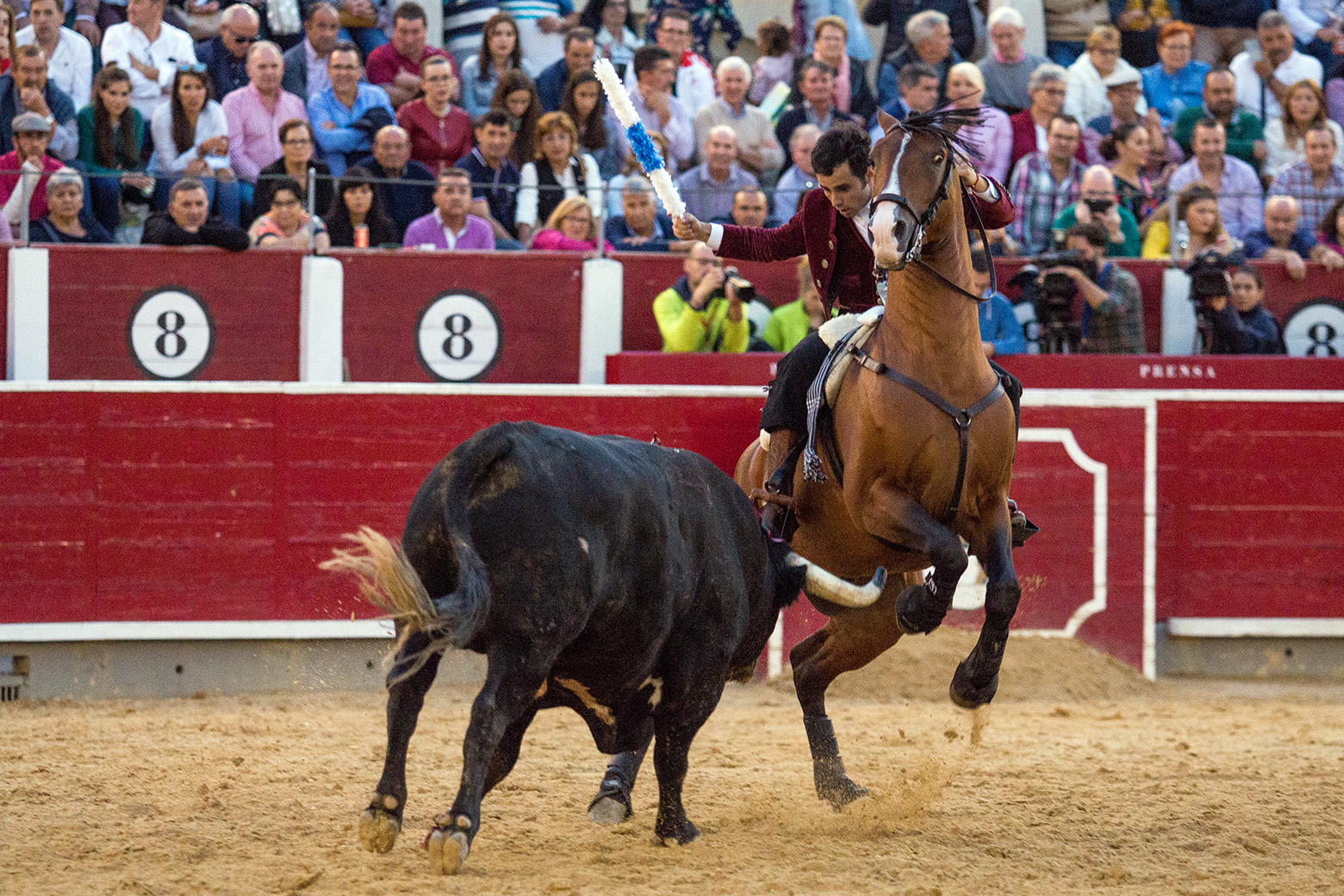 Albacete, sábado 14 de septiembre de 2019
