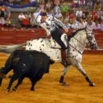 Aranjuez, sábado 7 de septiembre de 2019