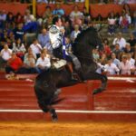 Aranjuez, sábado 7 de septiembre de 2019