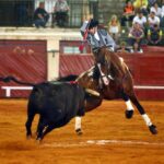 Aranjuez, sábado 7 de septiembre de 2019