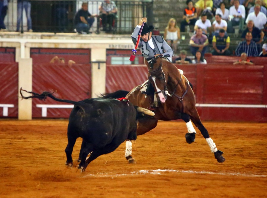 Aranjuez, sábado 7 de septiembre de 2019